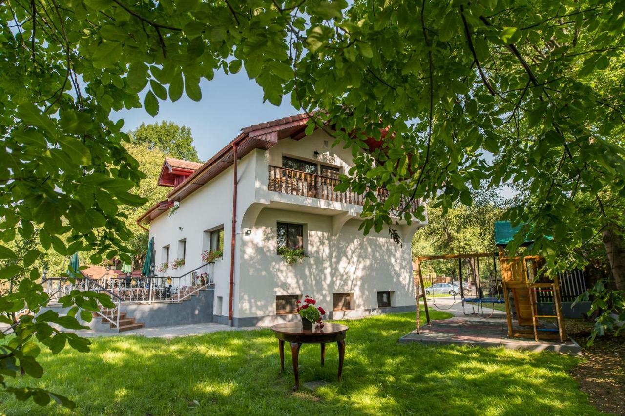 Casa Din Plai Bed & Breakfast Provita de Sus Eksteriør bilde