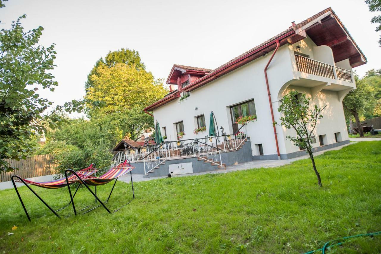 Casa Din Plai Bed & Breakfast Provita de Sus Eksteriør bilde